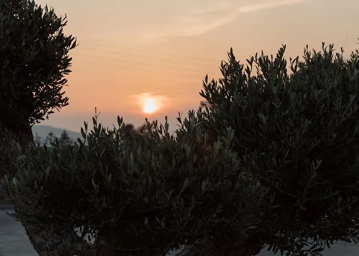 Laguna In Mazera Mykonos