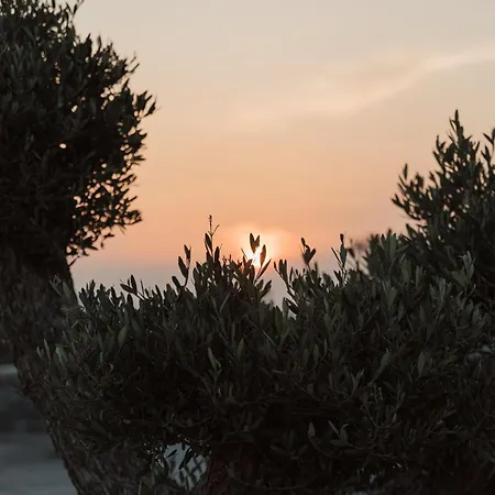 Laguna In Mazera Mykonos Hotel