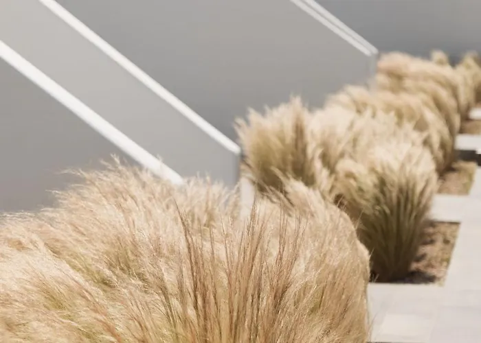 Laguna In Mazera Mykonos