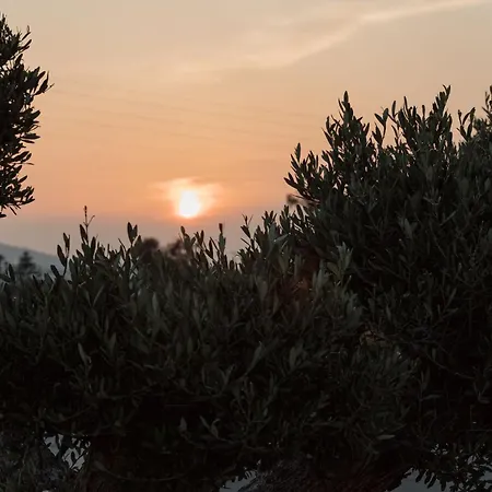 Laguna In Mazera Mykonos