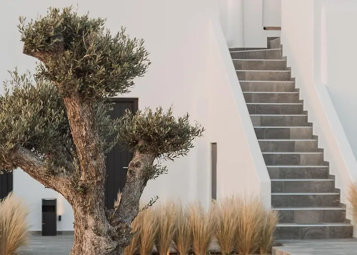 Hotel Laguna In Mazera Mykonos 4*