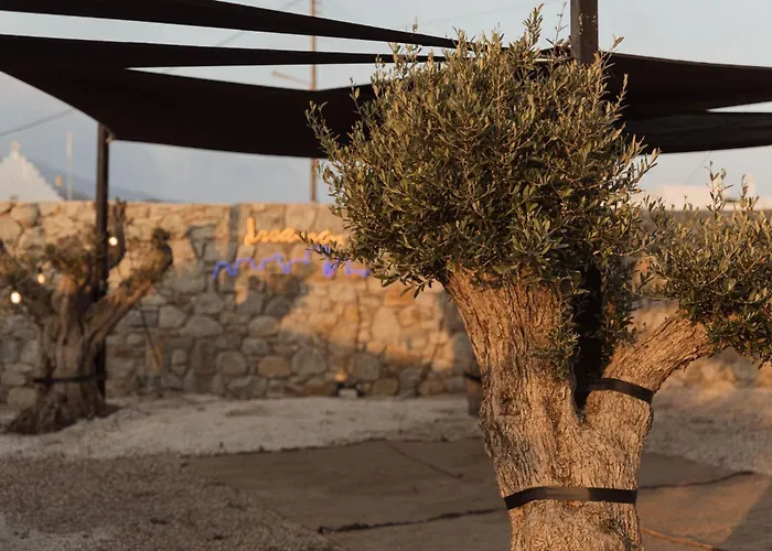 Ξενοδοχείο Laguna In Mazera Mykonos Mykonos Town