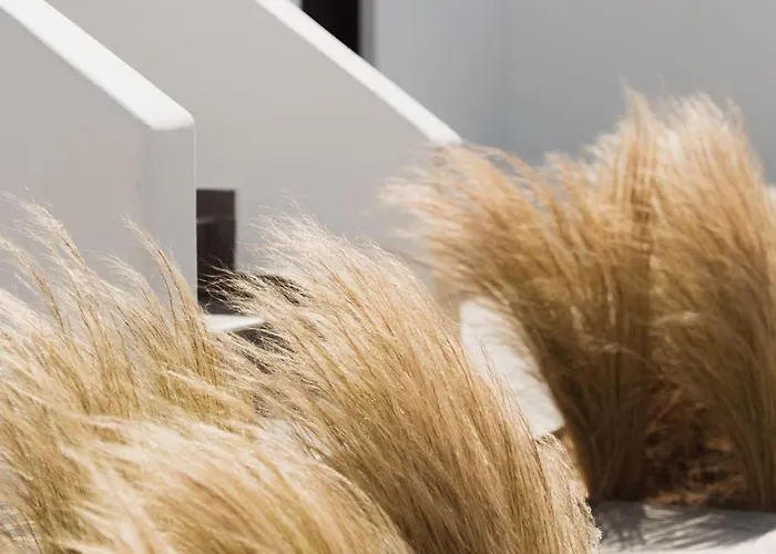 Hotel Laguna In Mazera Mykonos