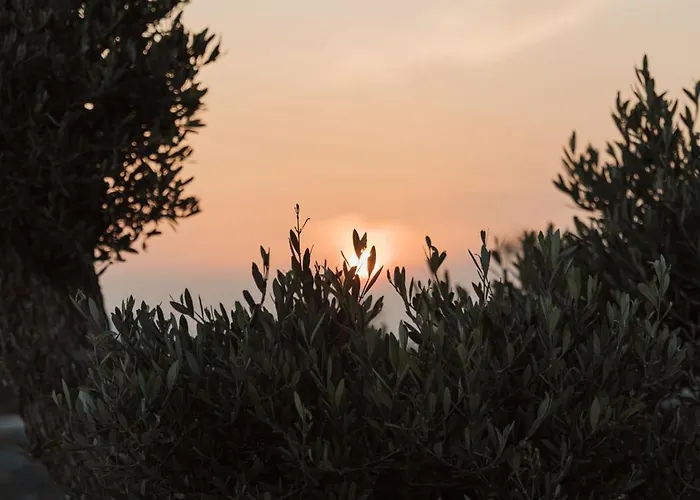 Laguna In Mazera Mykonos Ξενοδοχείο