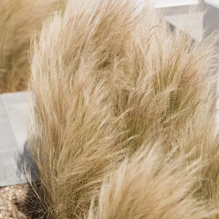 Laguna In Mazera Mykonos Hotell 4*