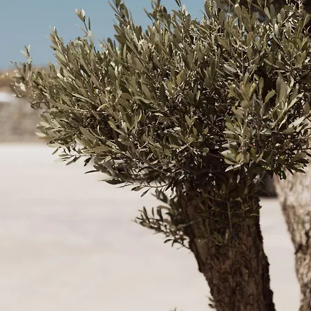 Laguna In Mazera Mykonos 4* Mykonos Town