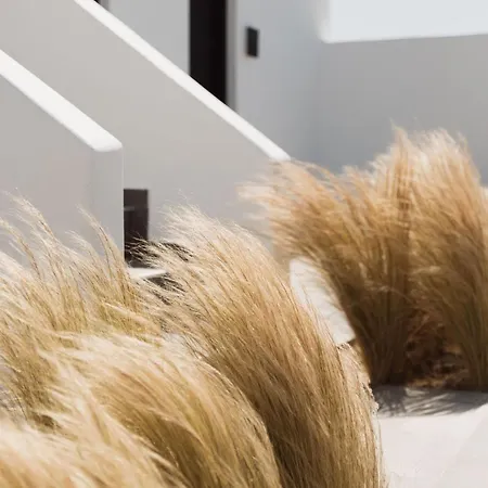 Hotell Laguna In Mazera Mykonos